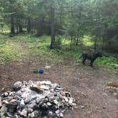 Review photo of Drummond Island Township Park Campground by Kate K., August 4, 2019