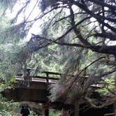 Review photo of Carl G. Washburne Memorial State Park Campground by Wendy M., September 24, 2016