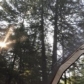 Review photo of Drummond Island Township Park Campground by Kate K., August 4, 2019