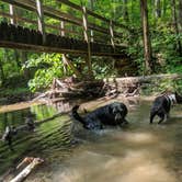 Review photo of Standing Stone State Park Campground by Mike G., August 4, 2019