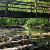 Review photo of Standing Stone State Park Campground by Mike G., August 4, 2019