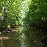 Review photo of Standing Stone State Park Campground by Mike G., August 4, 2019