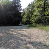 Review photo of Standing Stone State Park Campground by Mike G., August 4, 2019