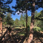 Review photo of Gordon Gulch Dispersed Area by Steve A., August 4, 2019