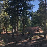 Review photo of Gordon Gulch Dispersed Area by Steve A., August 4, 2019