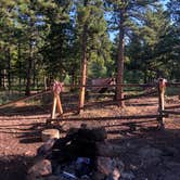 Review photo of Gordon Gulch Dispersed Area by Steve A., August 4, 2019