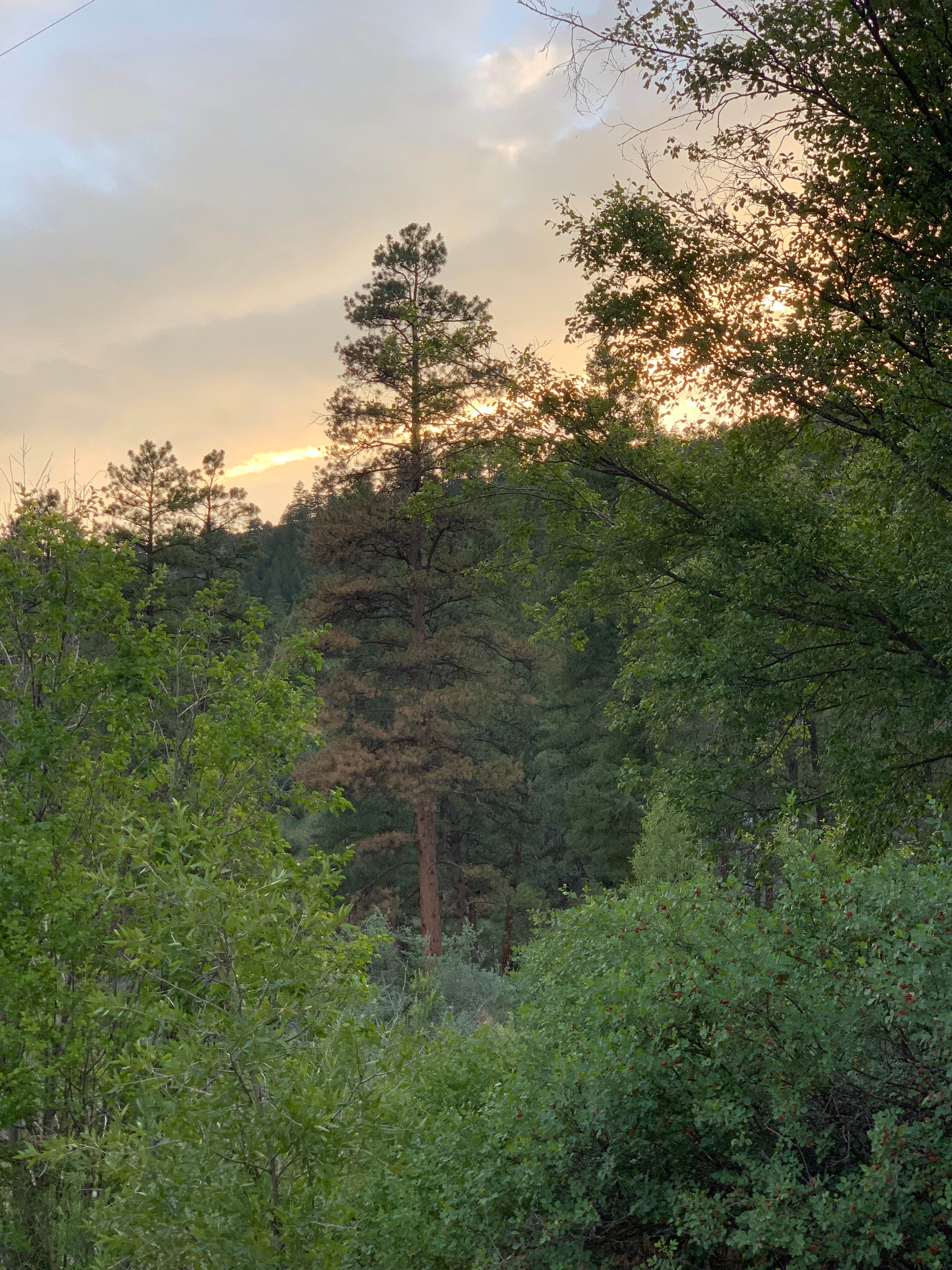 Camper-submitted photo at Lower Piedra Campground near Chimney Rock, CO