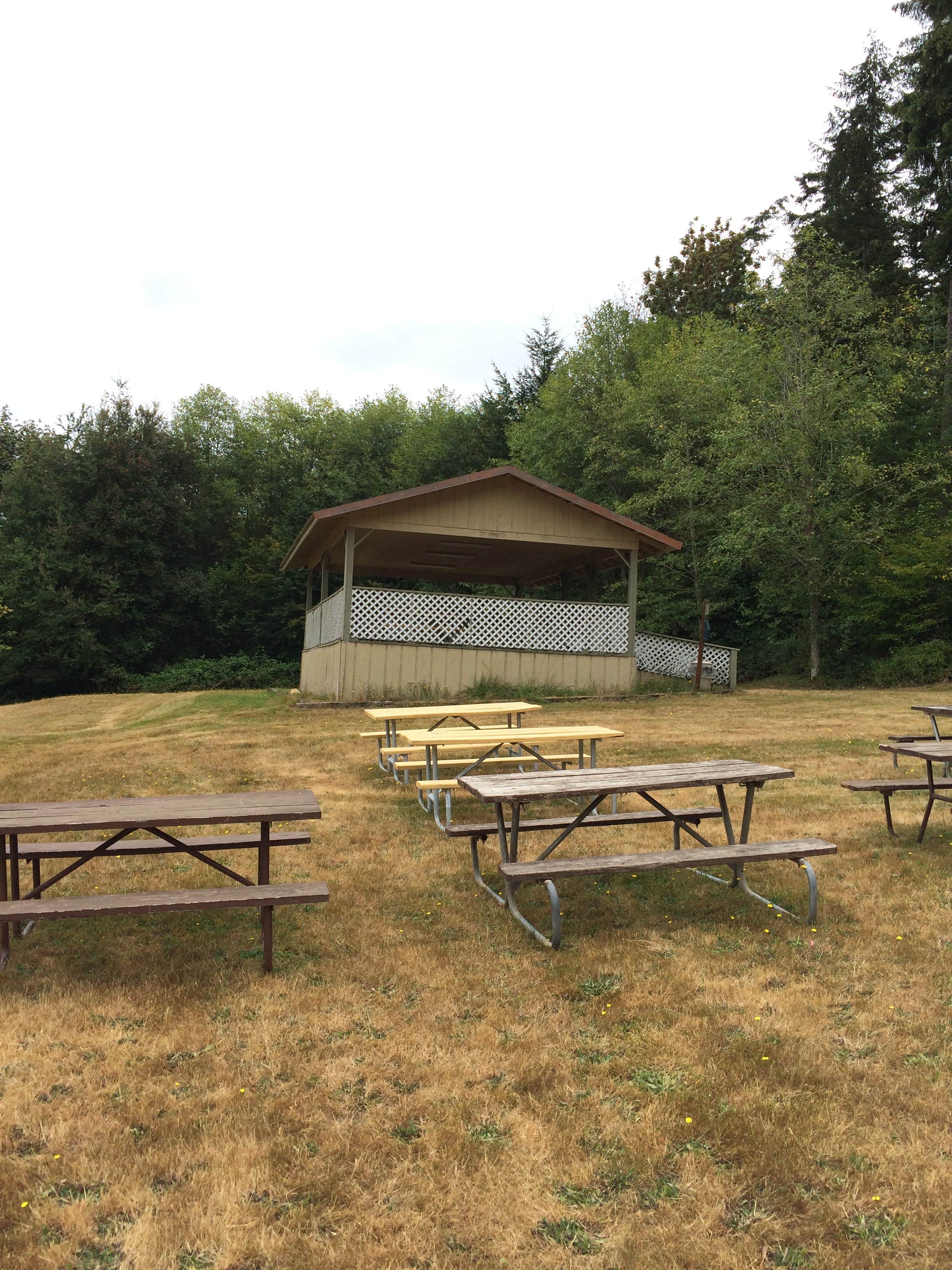 Camper submitted image from Thousand Trails Chehalis - 3