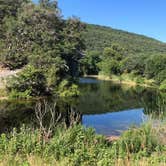 Review photo of Lost Maples State Natural Area by Dan M., August 4, 2019