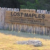 Review photo of Lost Maples State Natural Area by Dan M., August 4, 2019