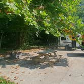 Review photo of Turkey Run State Park Campground by Cynthia K., September 16, 2025