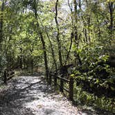 Review photo of Weston Bend State Park Campground by Donna H., October 11, 2025