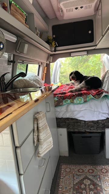 Donna H.'s photo of camping with pets at Big Sioux Recreation Area — Big Sioux near Canistota, SD