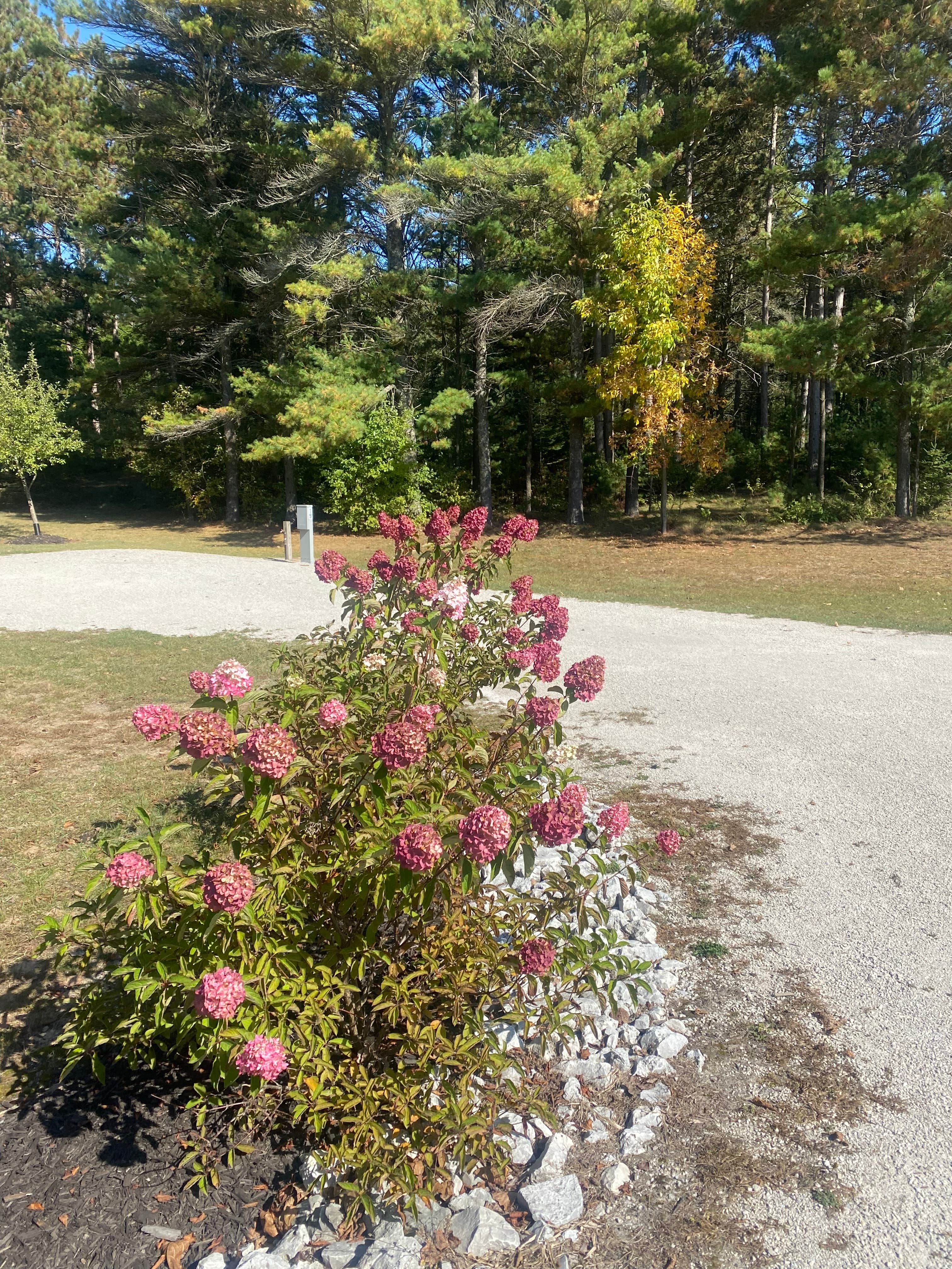 Camper-submitted photo at Scheffel's Hideaway Campground near Kewaunee, WI