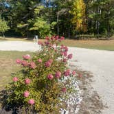 Review photo of Scheffel's Hideaway Campground by Judy P., October 11, 2025