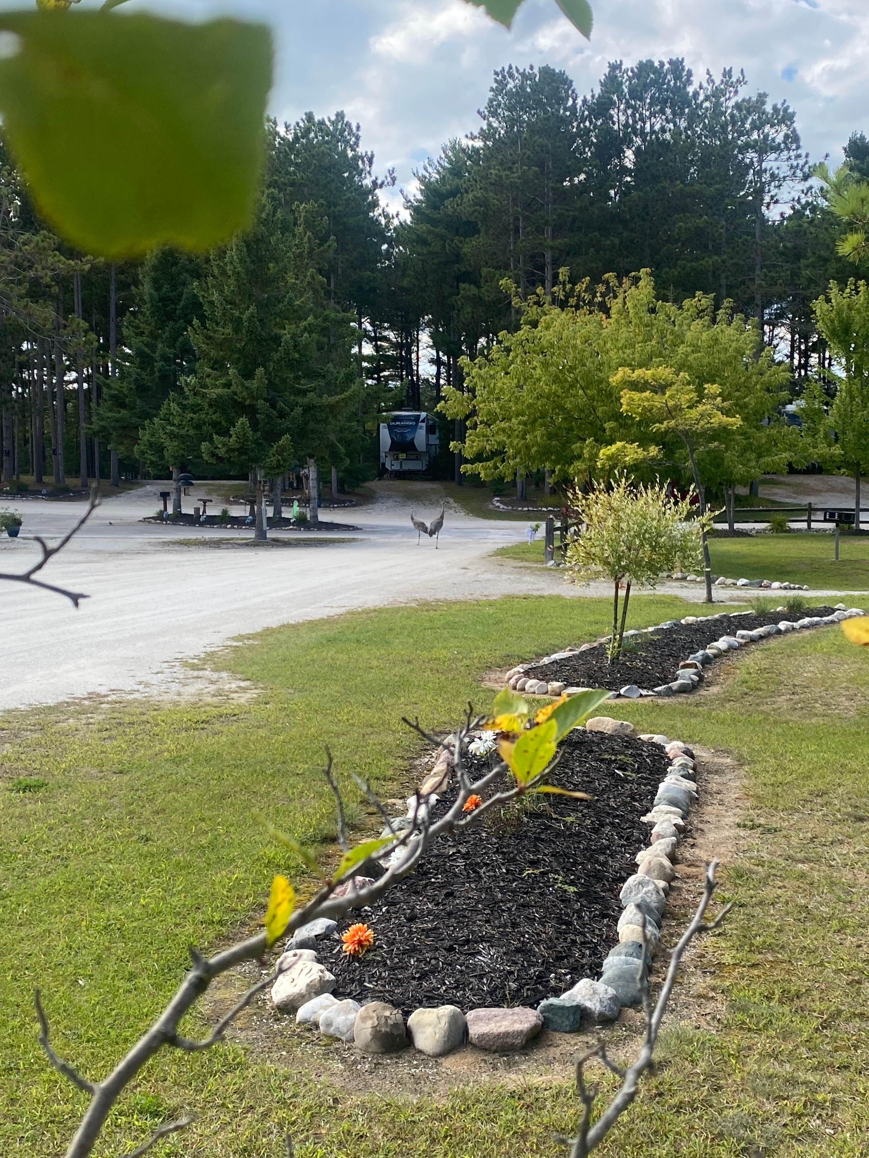 Camper submitted image from Scheffel's Hideaway Campground - 5