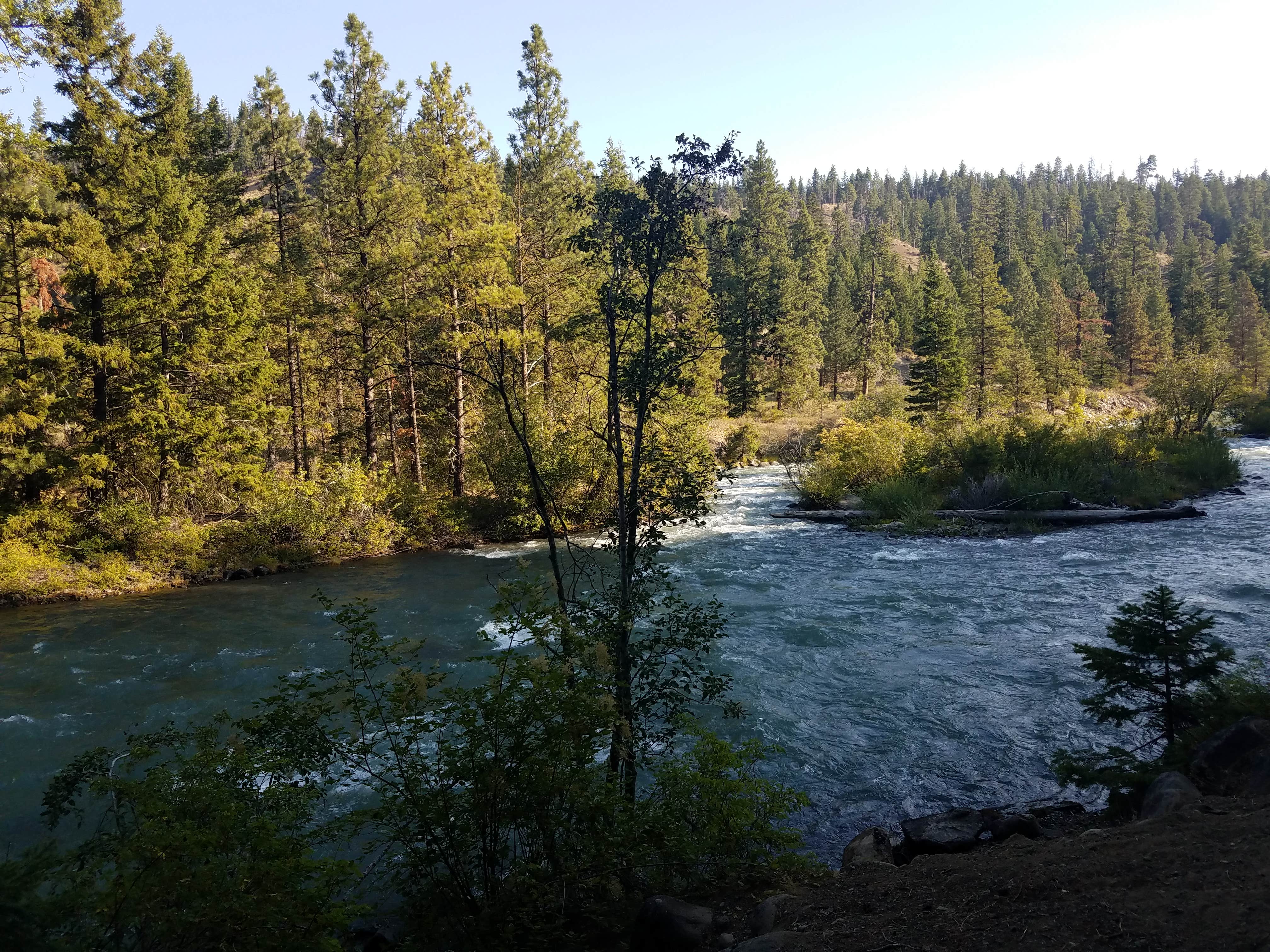 Camper submitted image from South Fork Tieton Dispersed Camping - 4