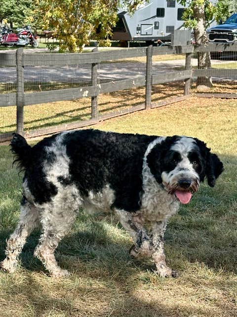 Camper-submitted photo at Spearfish KOA near Beulah, WY