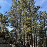 Review photo of Custer-Mt. Rushmore KOA by Donna H., October 11, 2025