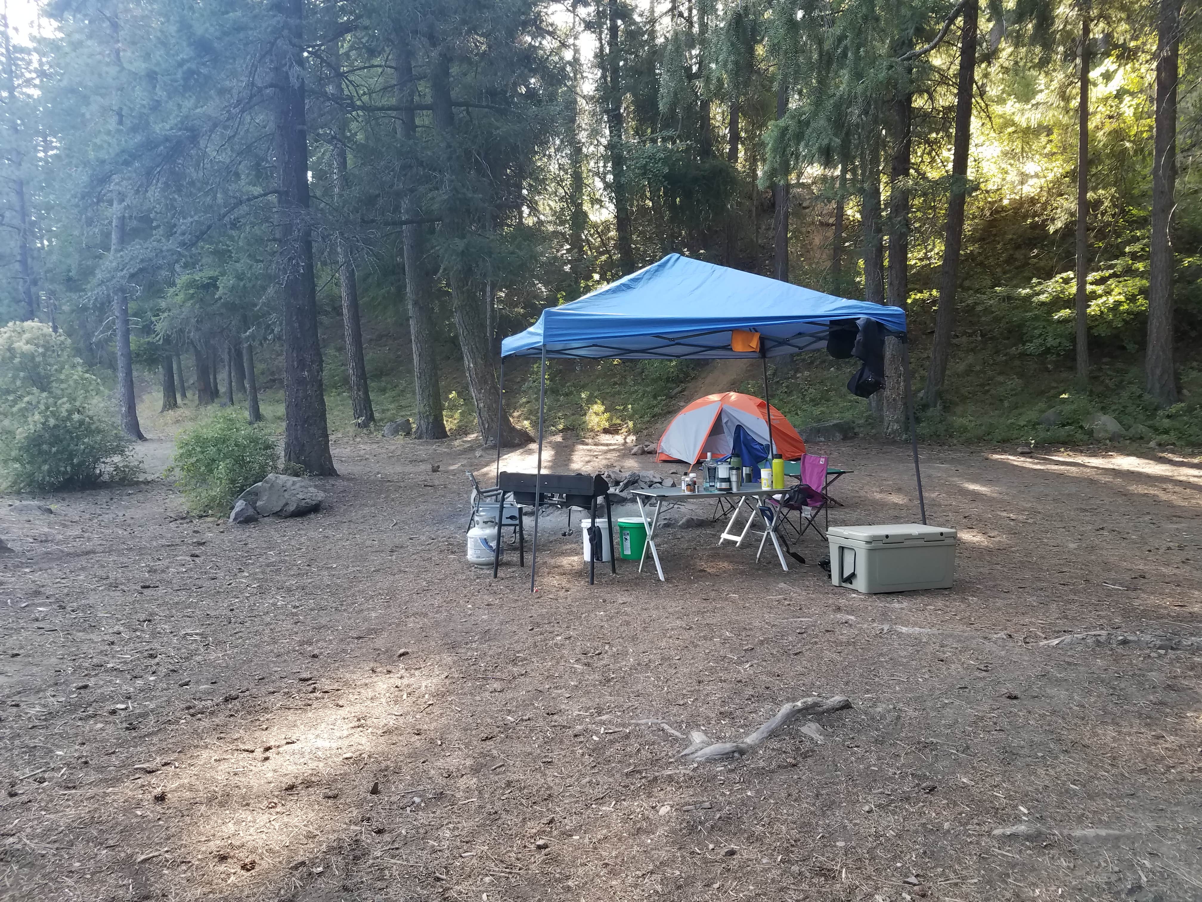 Jess G.'s photo of a dispersed camping area at South Fork Tieton Dispersed Camping near Goose Prairie, WA