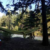 Review photo of South Fork Tieton Dispersed Camping by Jess G., August 4, 2019