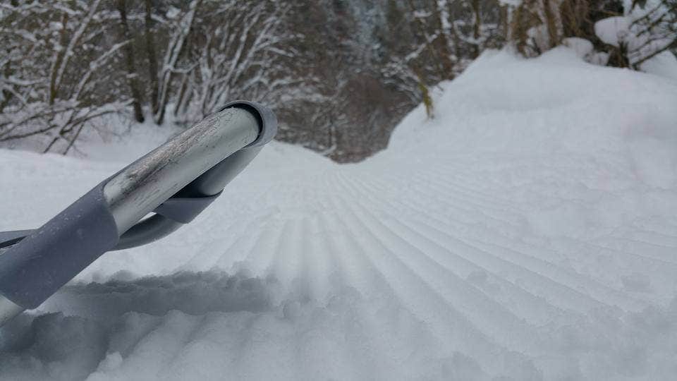 Camper submitted image from Green Canyon Yurt - 2