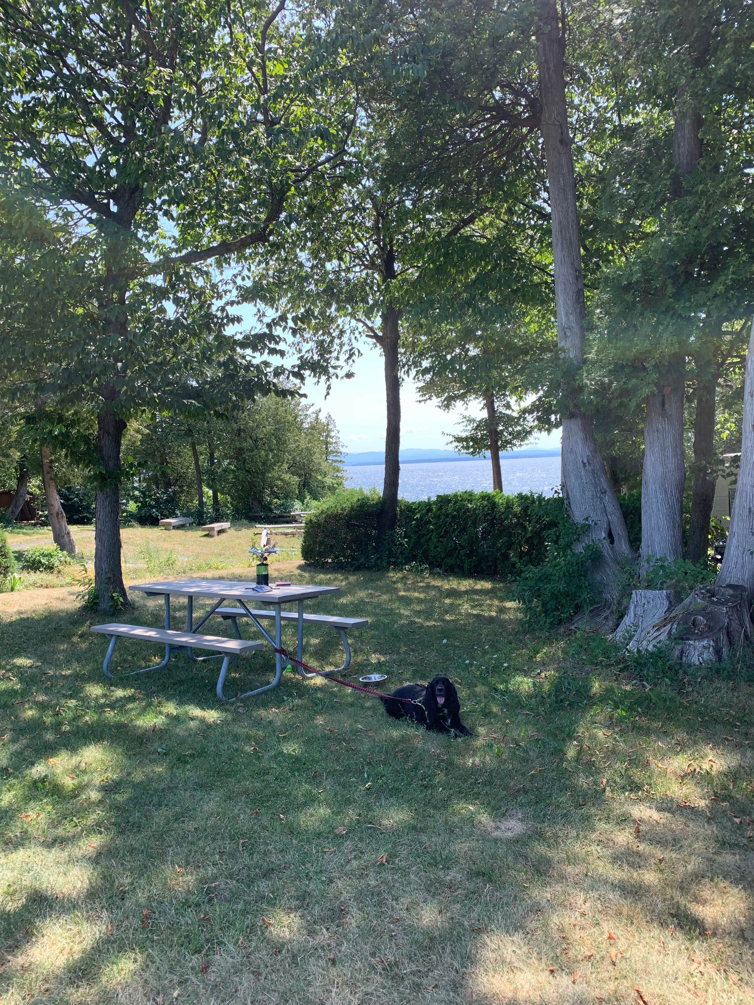 Camper submitted image from Champlain Resort Adult Campground - 5