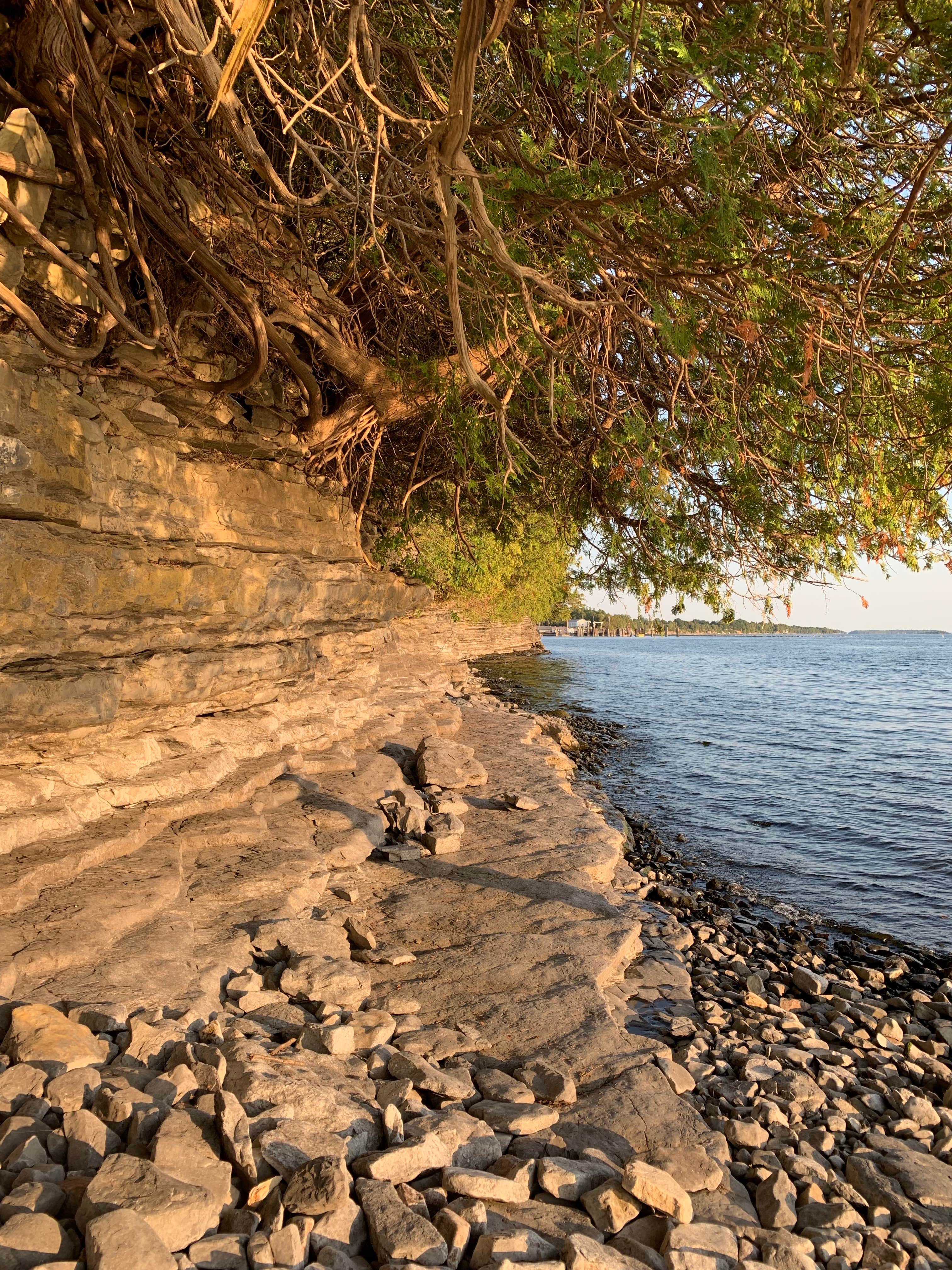 Camper submitted image from Champlain Resort Adult Campground - 3
