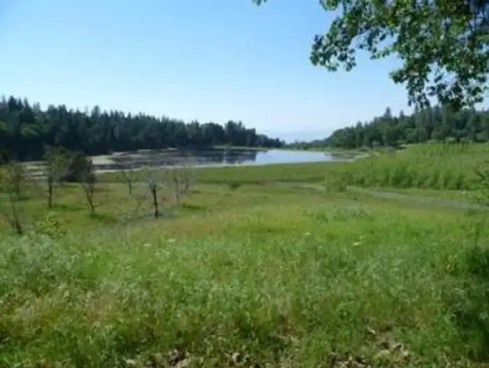 Camper-submitted photo at Grouse Valley near Kaweah, CA