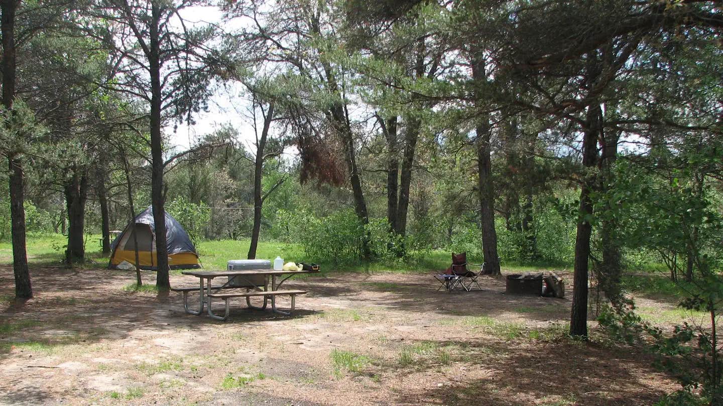 Camper submitted image from Meadows ORV Campground — Huron Manistee National Forests - 1