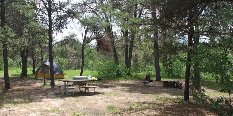 Camper submitted image from Meadows ORV Campground — Huron Manistee National Forests