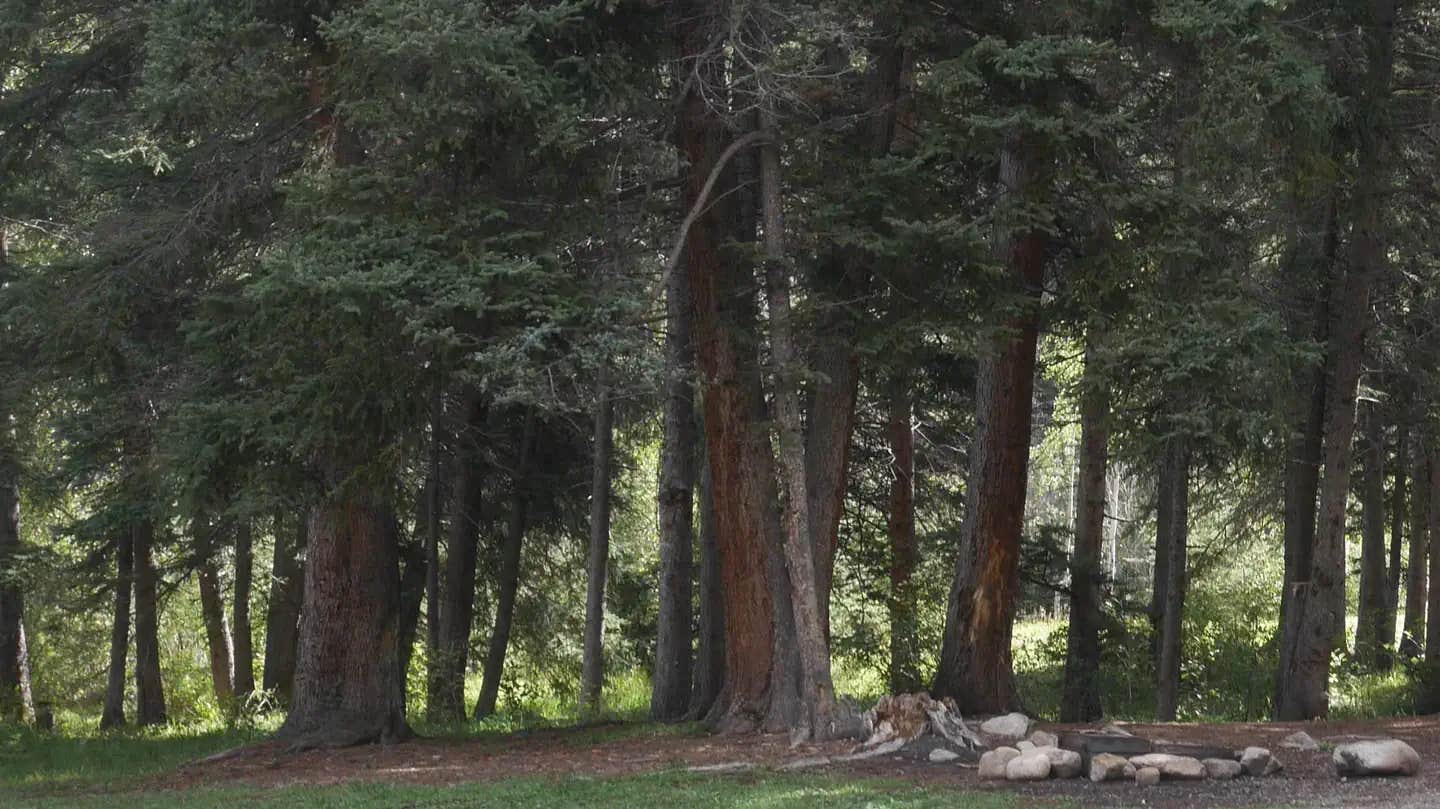 Camper submitted image from Santa Barbara Campground - 1