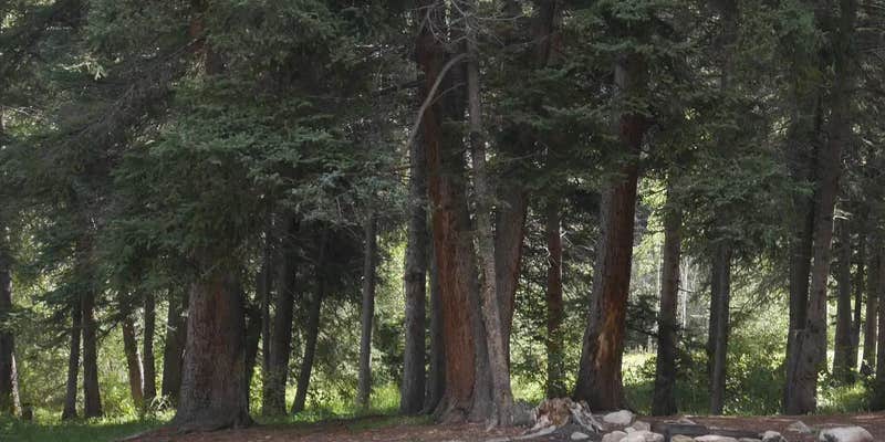 Camper submitted image from Santa Barbara Campground