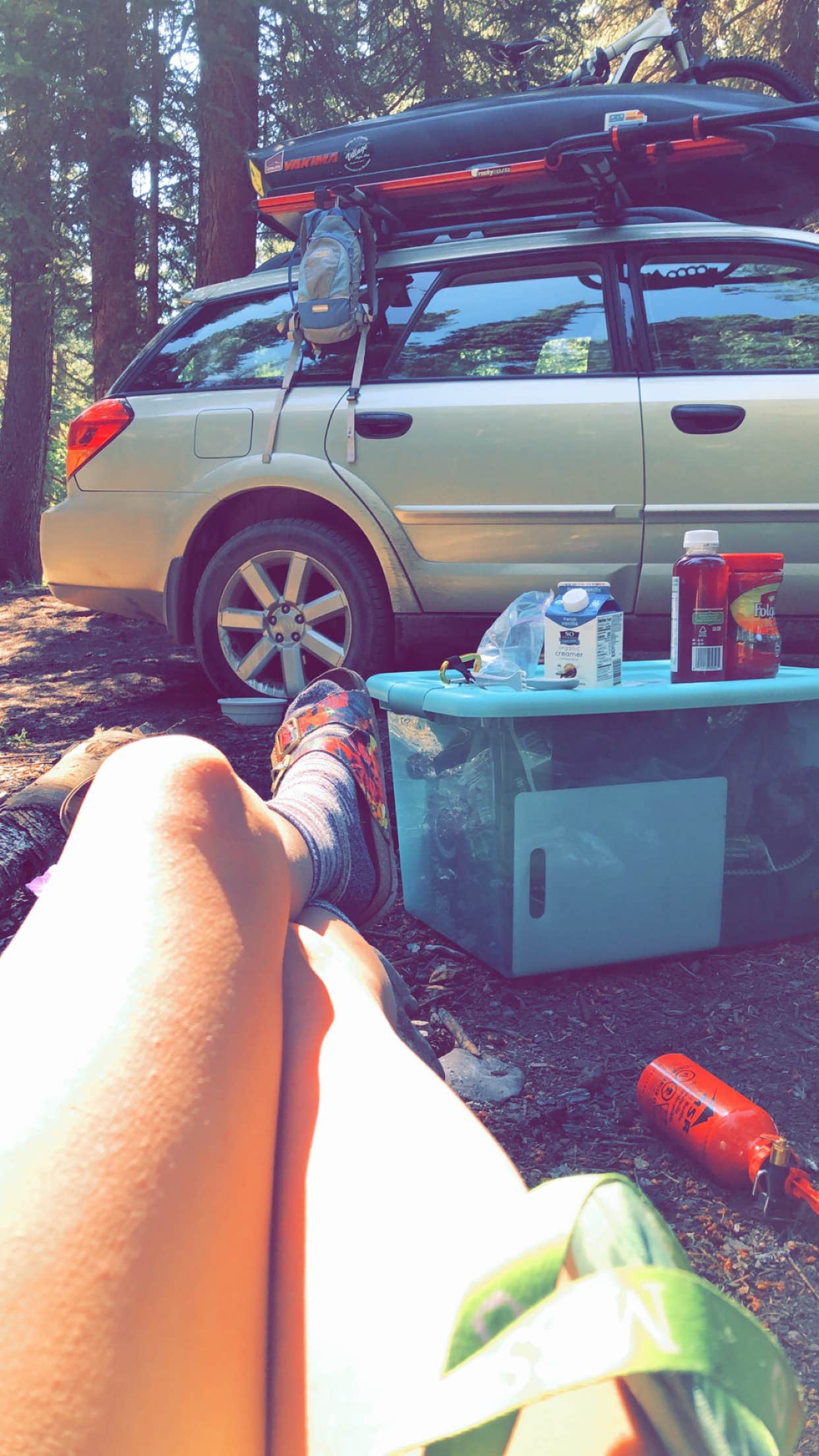 Camper-submitted photo at Bear River Designated Dispersed near Steamboat Springs, CO