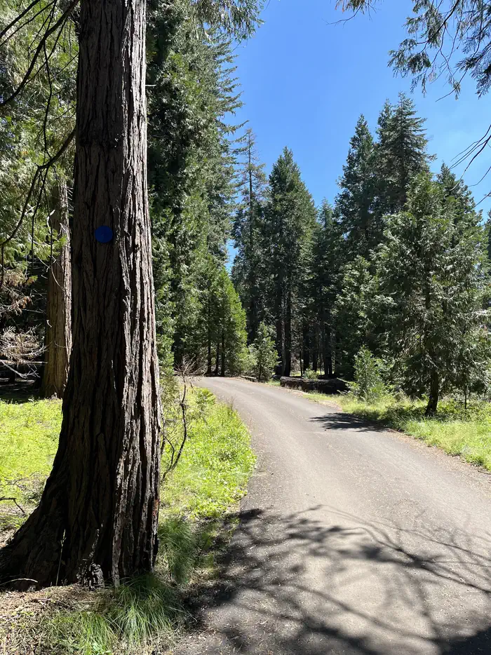 Camper-submitted photo at Crystal Springs Campground — Kings Canyon National Park near Hume, CA
