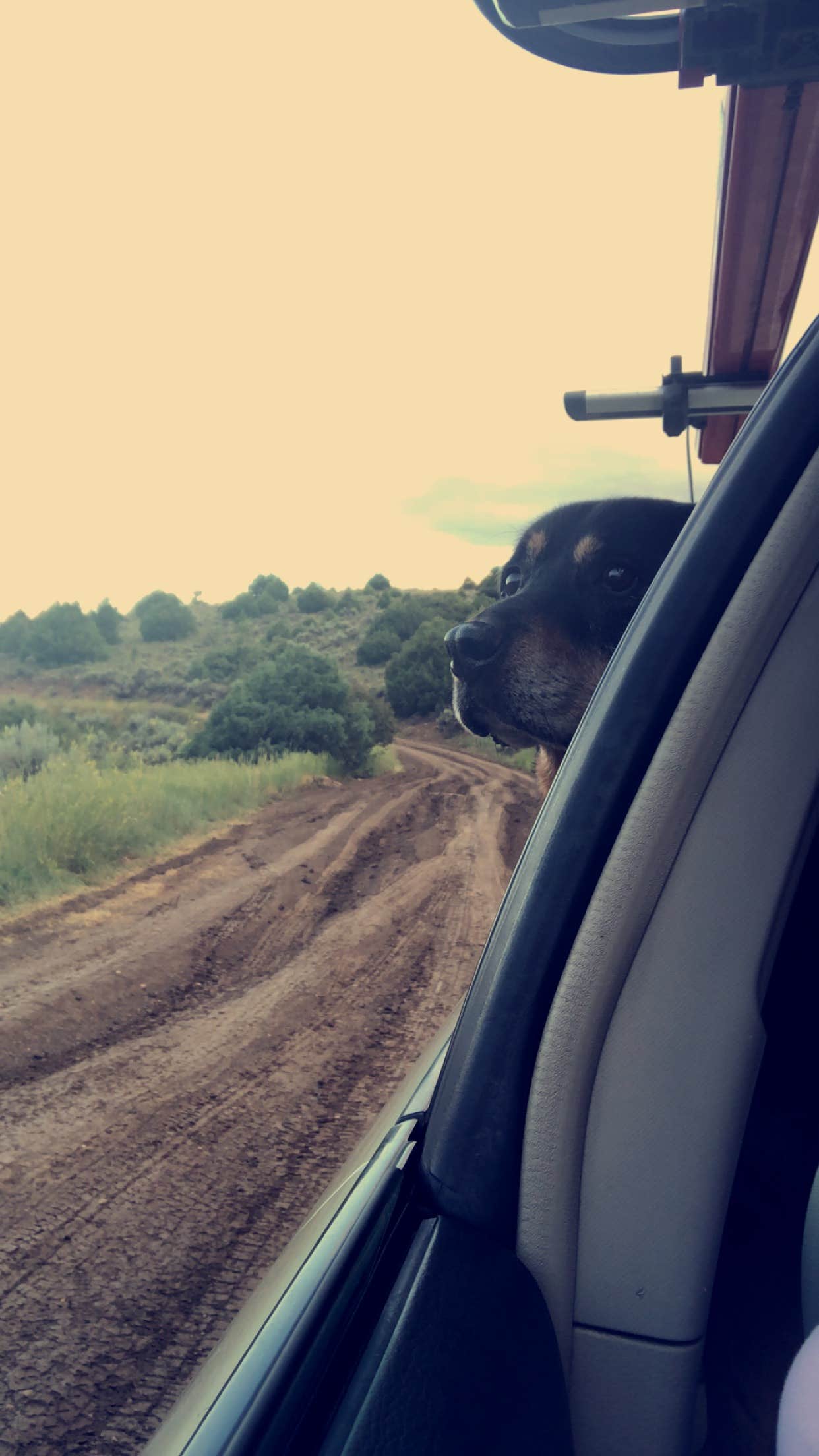 Camper-submitted photo at Bear River Designated Dispersed near Steamboat Springs, CO