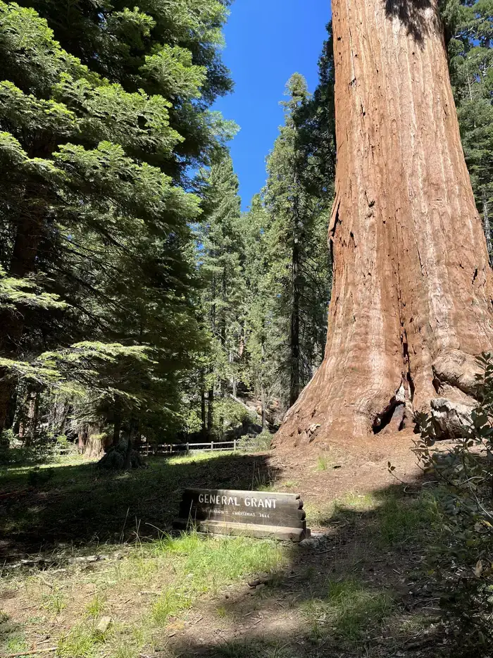 Crystal Springs Campground — Kings Canyon National Park