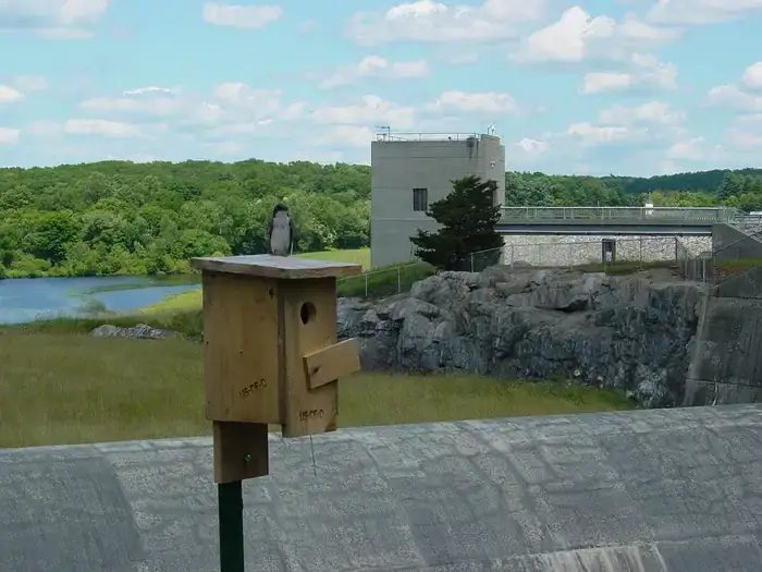 Camper-submitted photo at West Thompson Lake Campground near Millville, MA