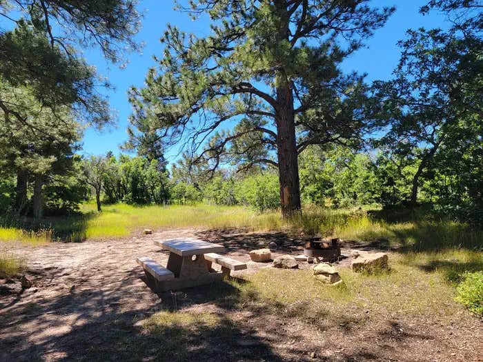 Camper submitted image from Price Canyon Recreation Area - 1