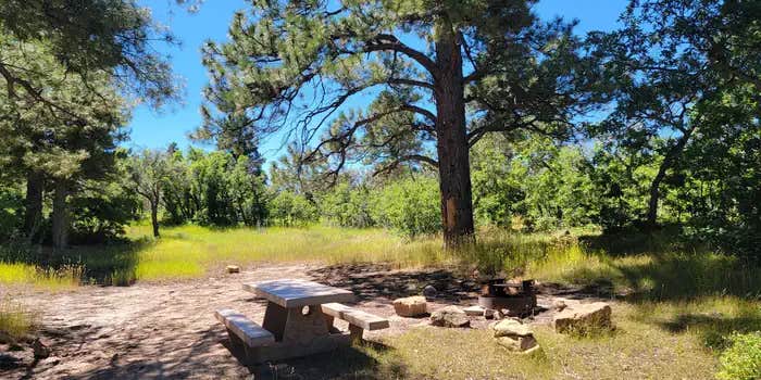 Camper submitted image from Price Canyon Recreation Area