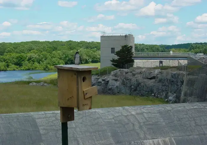 Camper-submitted photo at West Thompson Lake Campground near Millville, MA