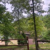 Review photo of Pickett CCC Memorial State Park Campground by Lori H., August 4, 2019