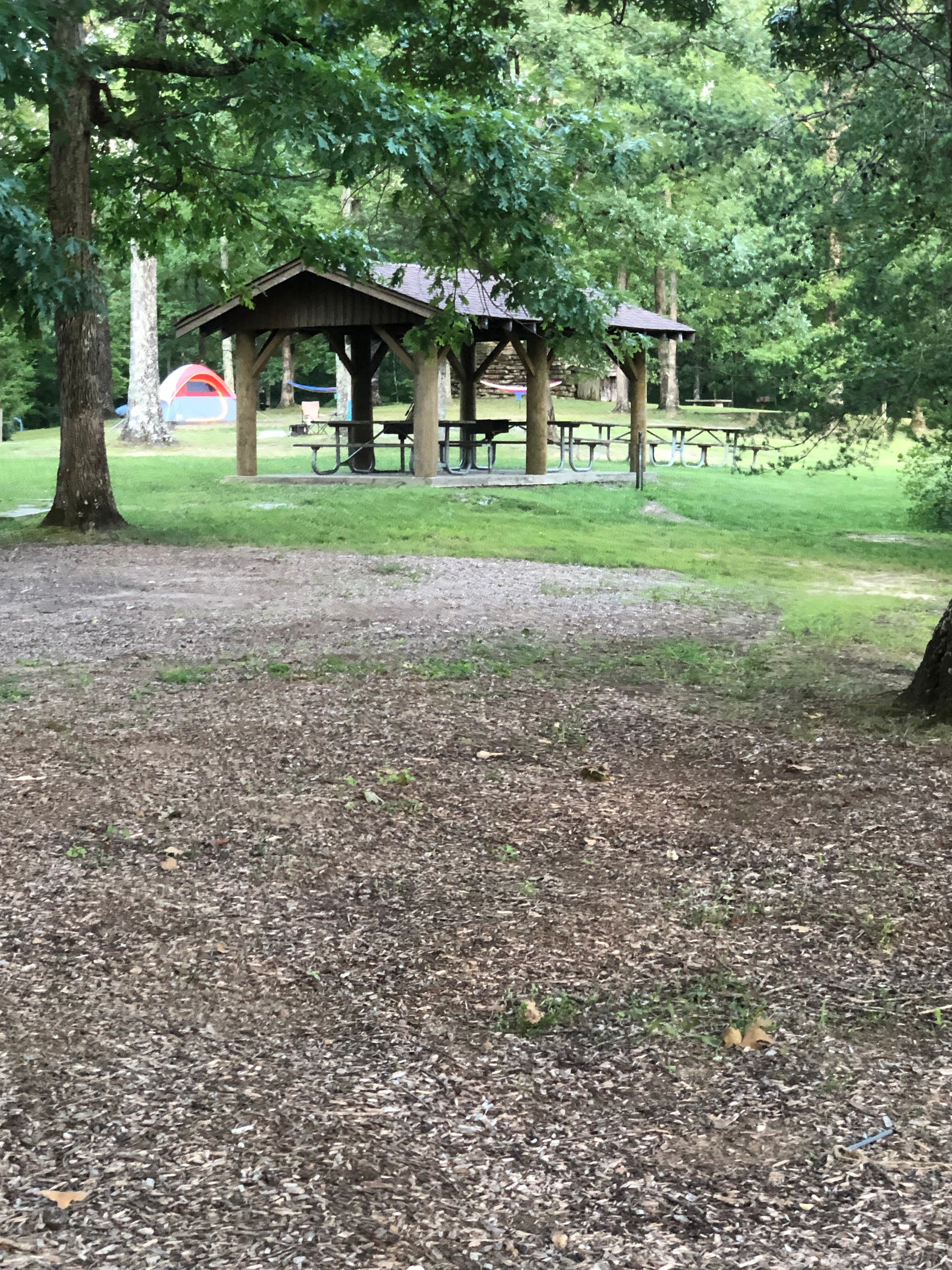 Camper submitted image from Pickett CCC Memorial State Park Campground - 3