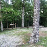 Review photo of Pickett CCC Memorial State Park Campground by Lori H., August 4, 2019