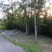 Review photo of Pickett CCC Memorial State Park Campground by Lori H., August 4, 2019