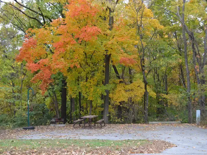 Camper-submitted photo at Lithia Springs near Hillsboro, IL