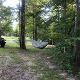 Review photo of Pickett CCC Memorial State Park Campground by Lori H., August 4, 2019