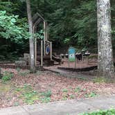 Review photo of Pickett CCC Memorial State Park Campground by Lori H., August 4, 2019