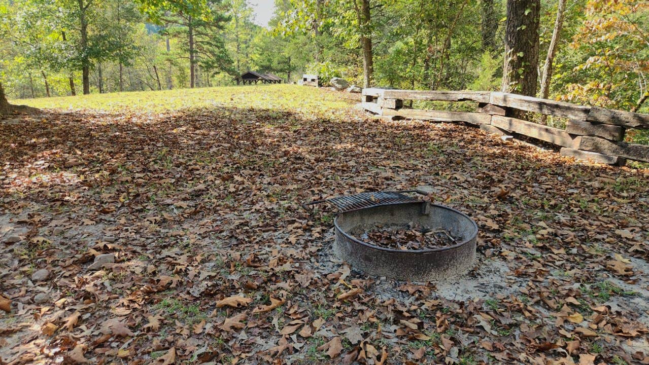 Camper submitted image from Barkshed Recreation Area - 3