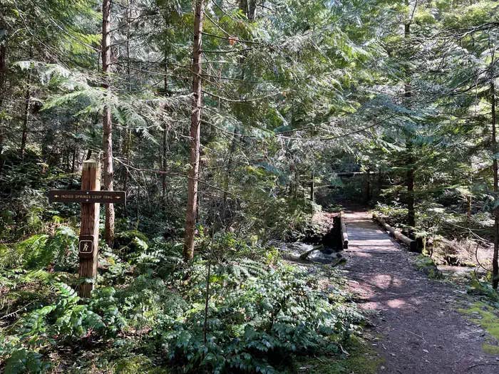 Camper submitted image from Indigo Springs — Willamette National Forest - 1